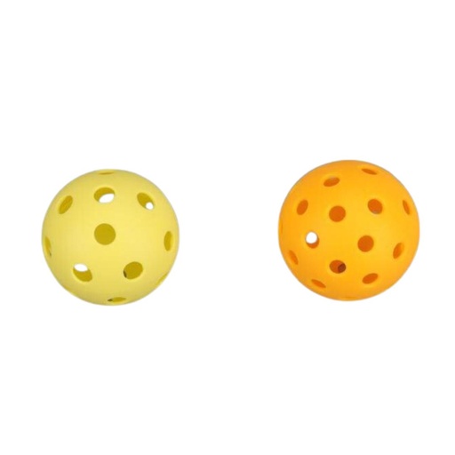 CORNITO - Giftology Pickleball Paddle Set of 2